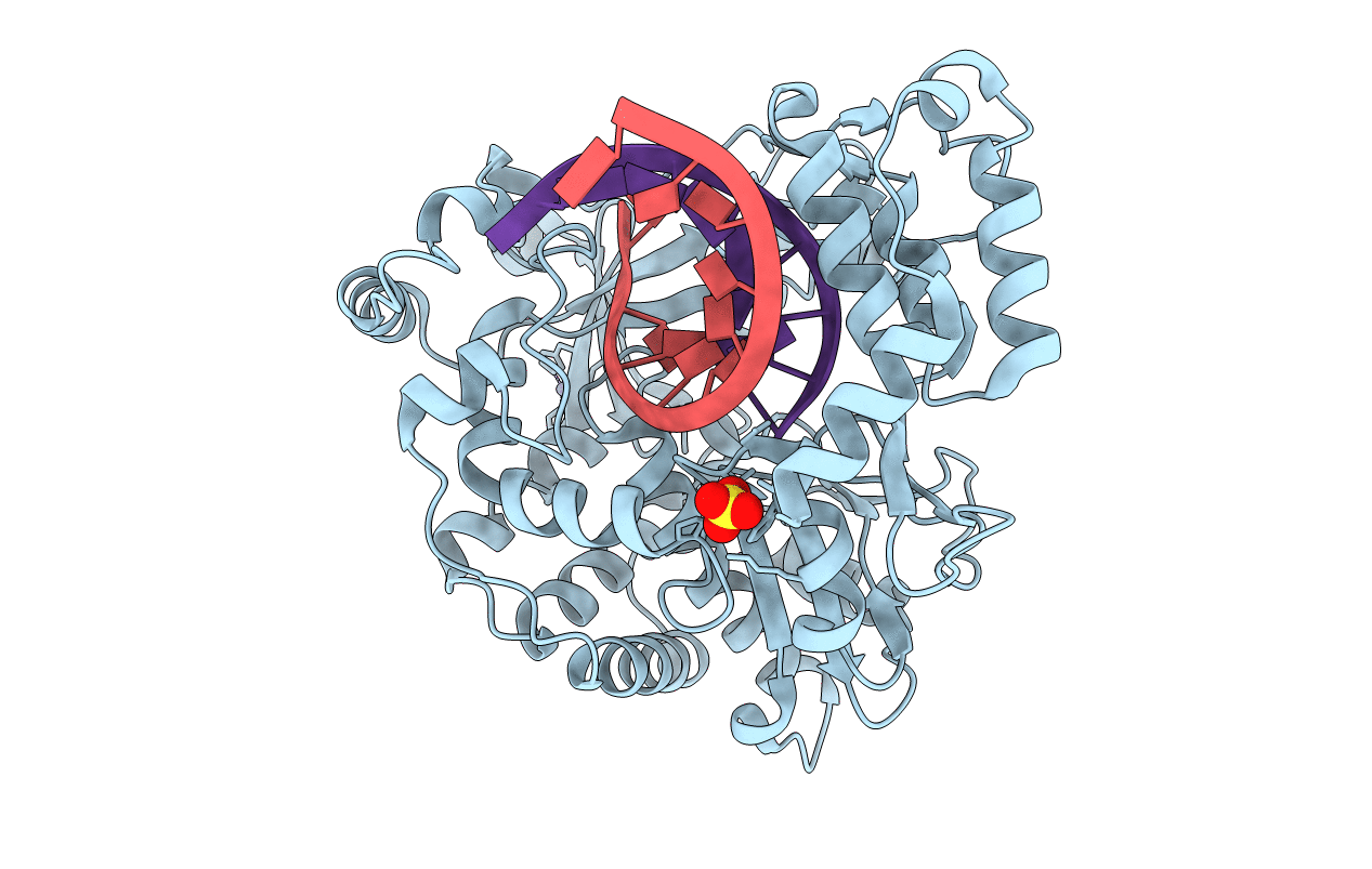 6LSG image