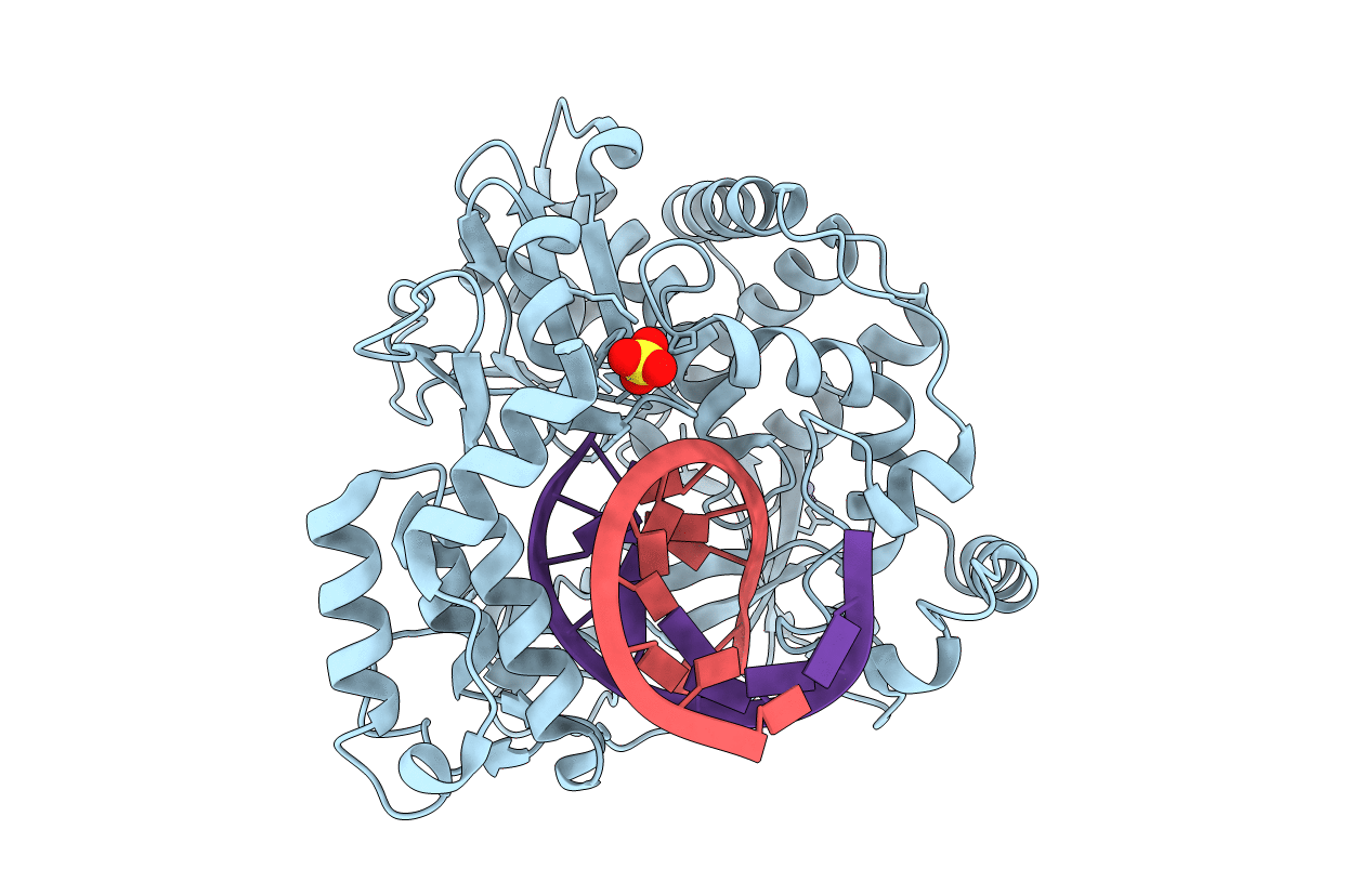 6LSH image