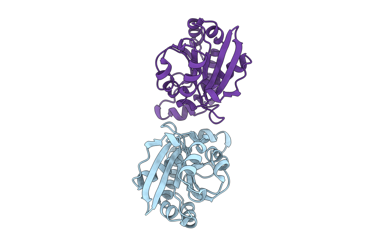 6LSO image