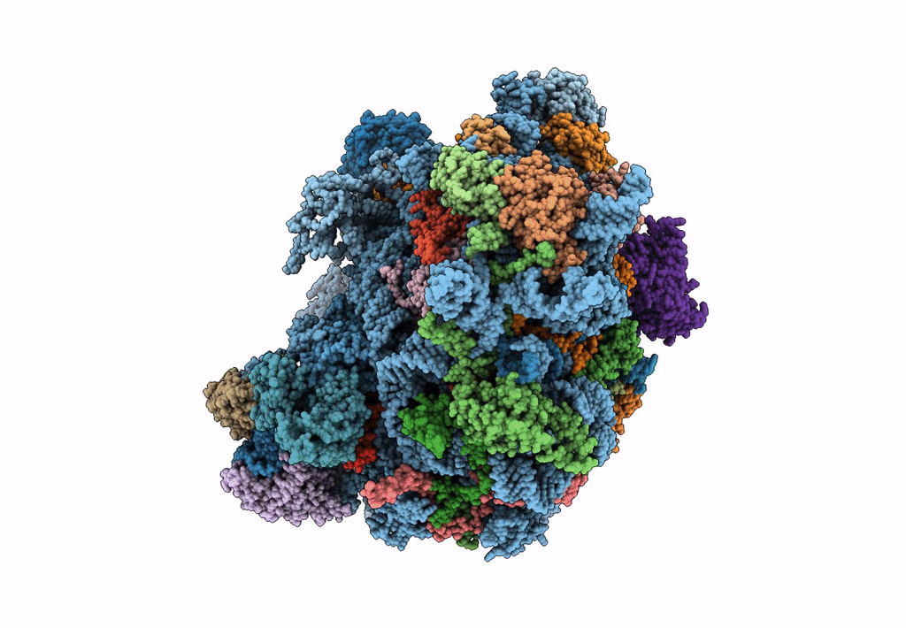 6LSR image