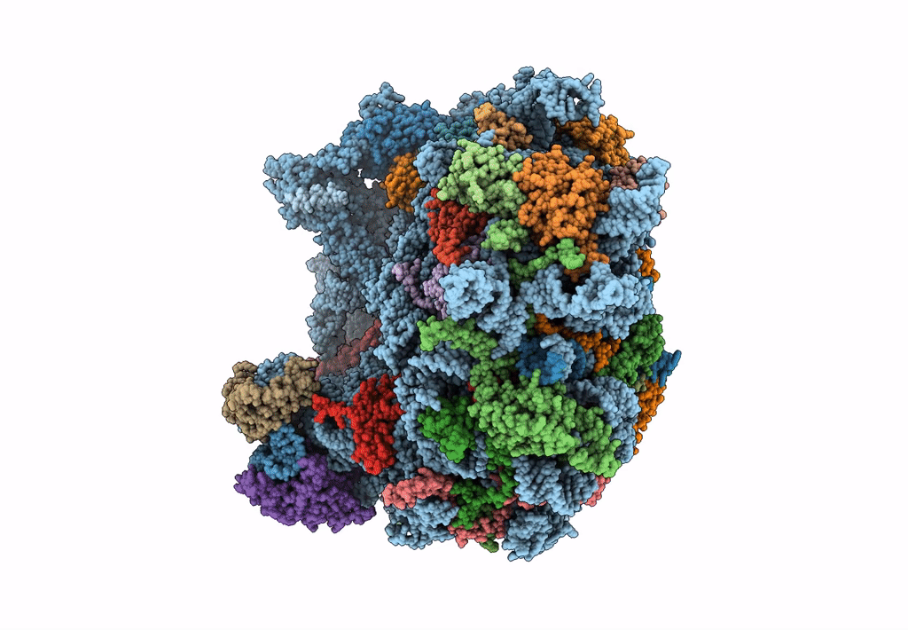 6LSS image