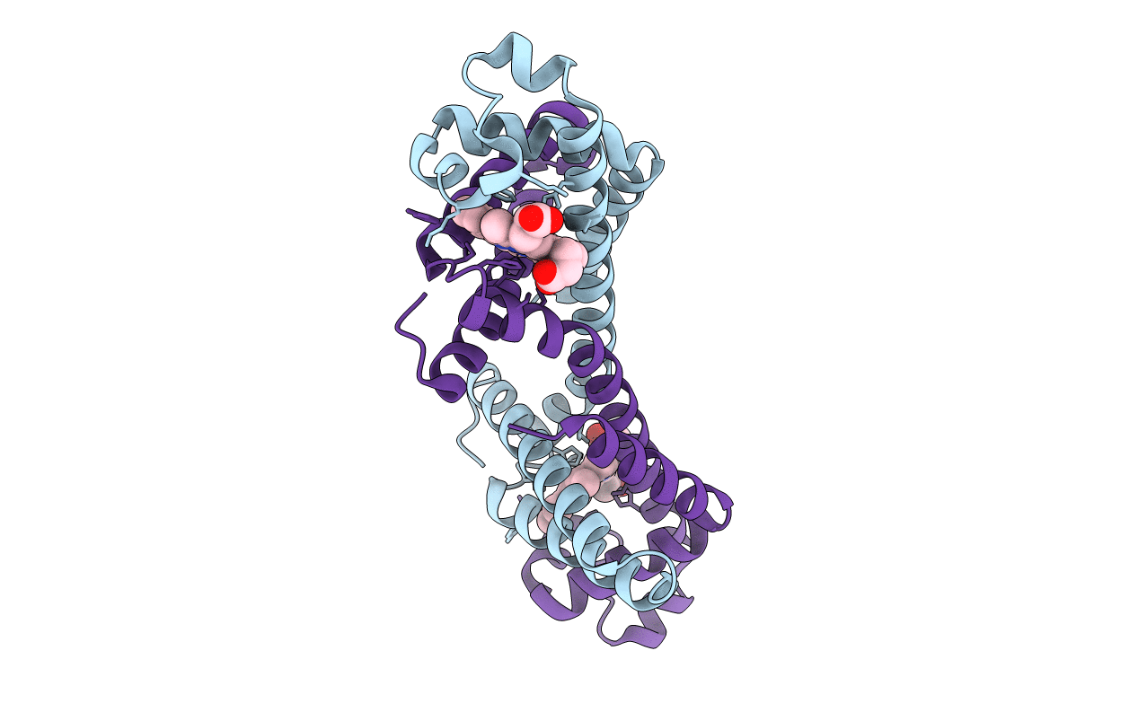 6LTL image