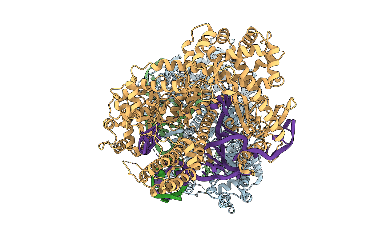 6LTP image