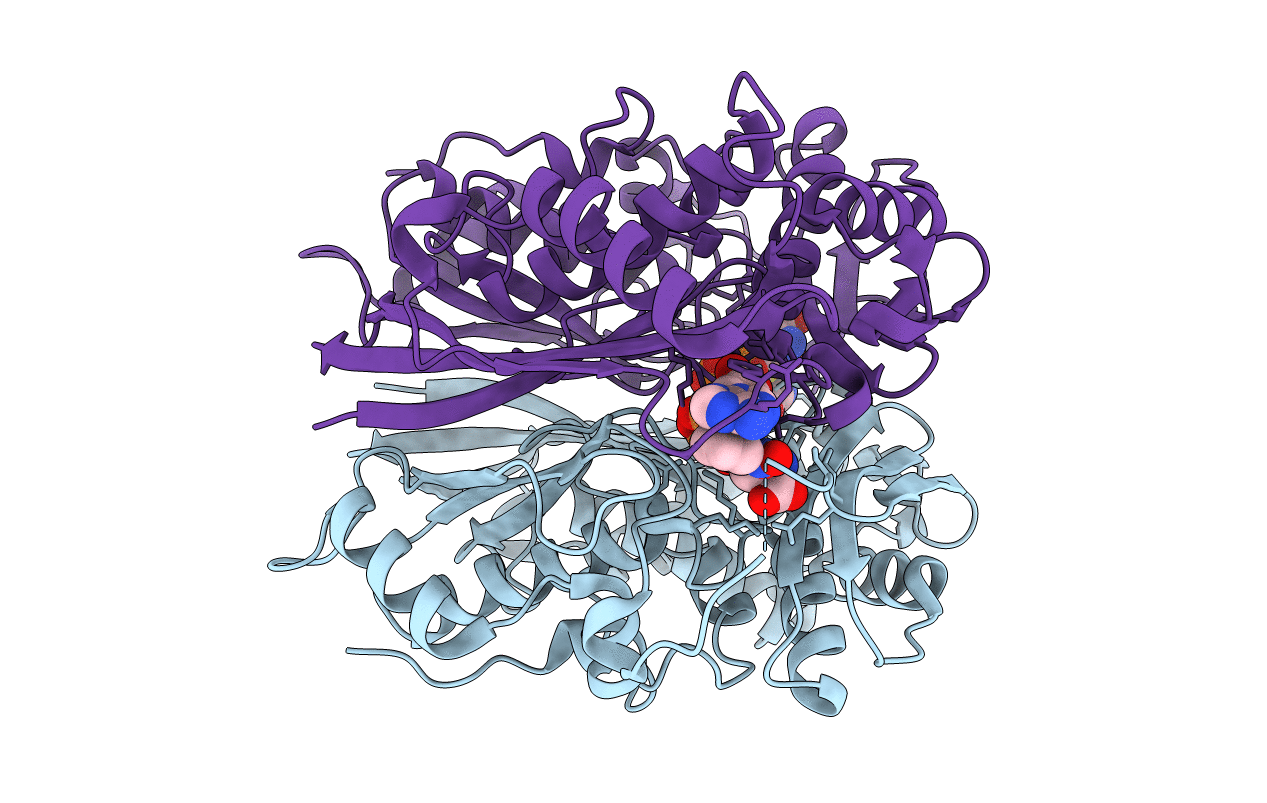 6LTV image