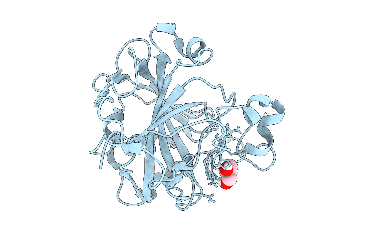 6LUU image