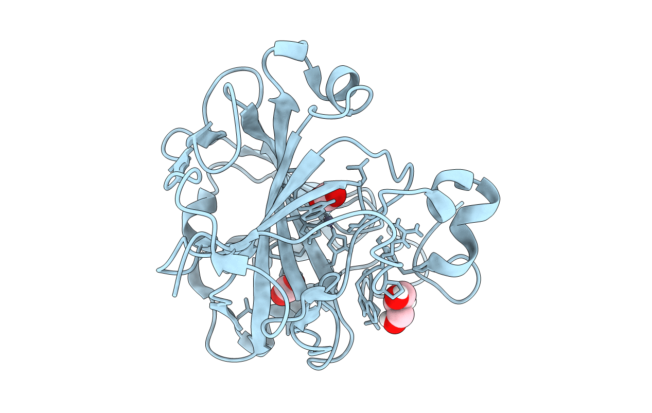 6LUZ image