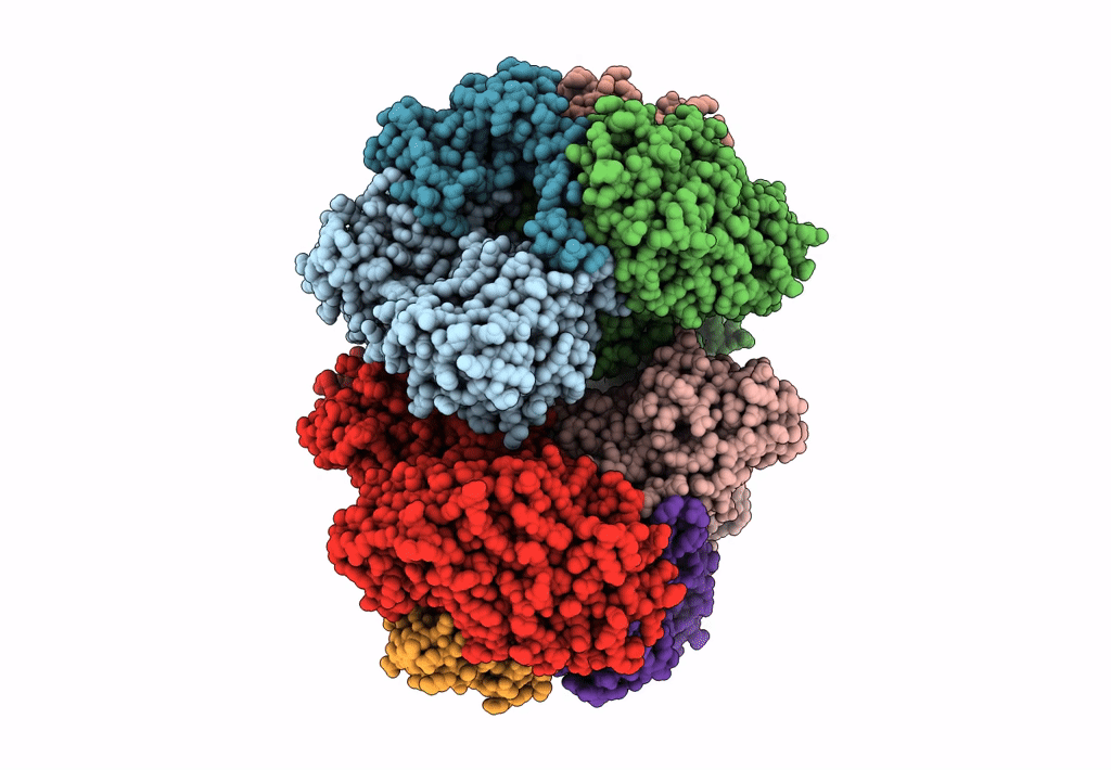 6LVB image