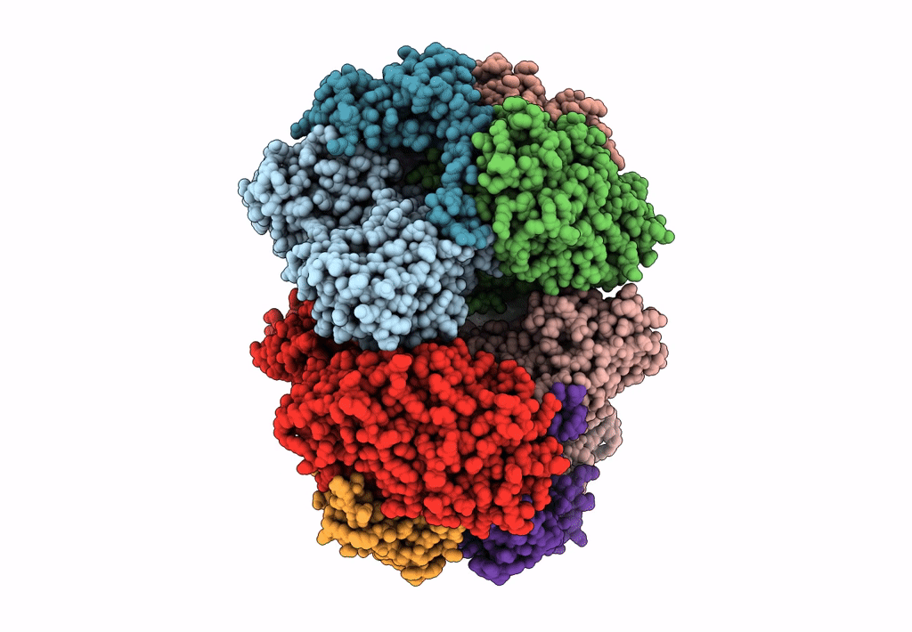 6LVD image