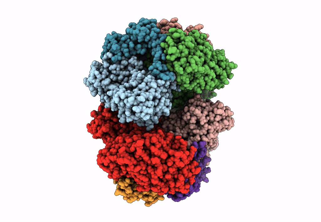 6LVE image