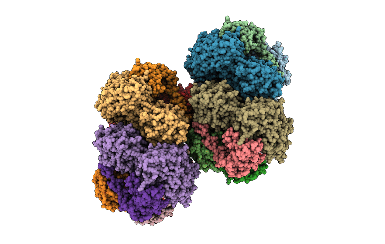 6LVV image