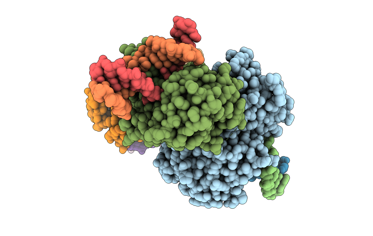 6LWI image