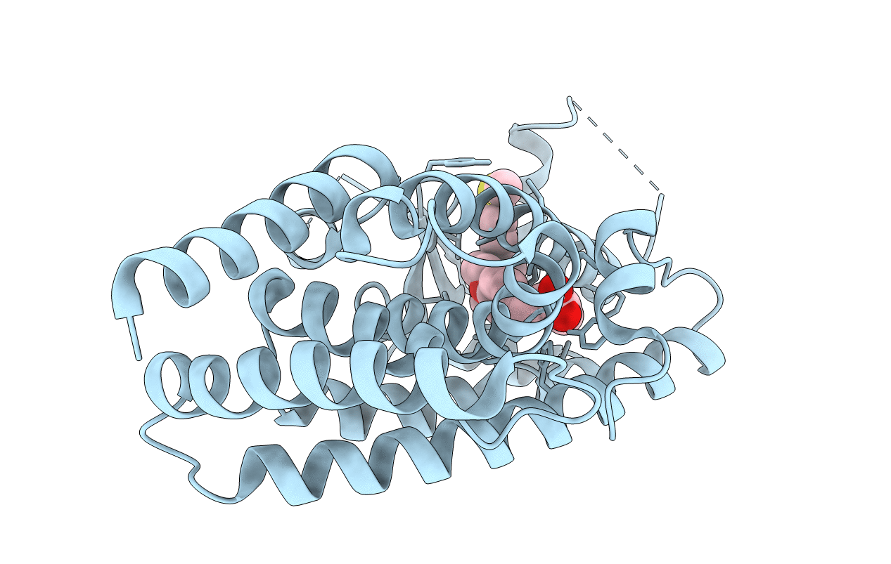 6LXC image