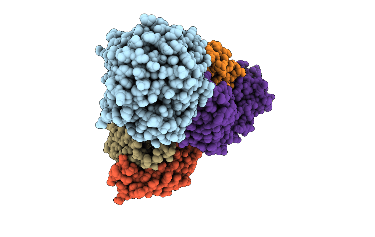 6LXI image