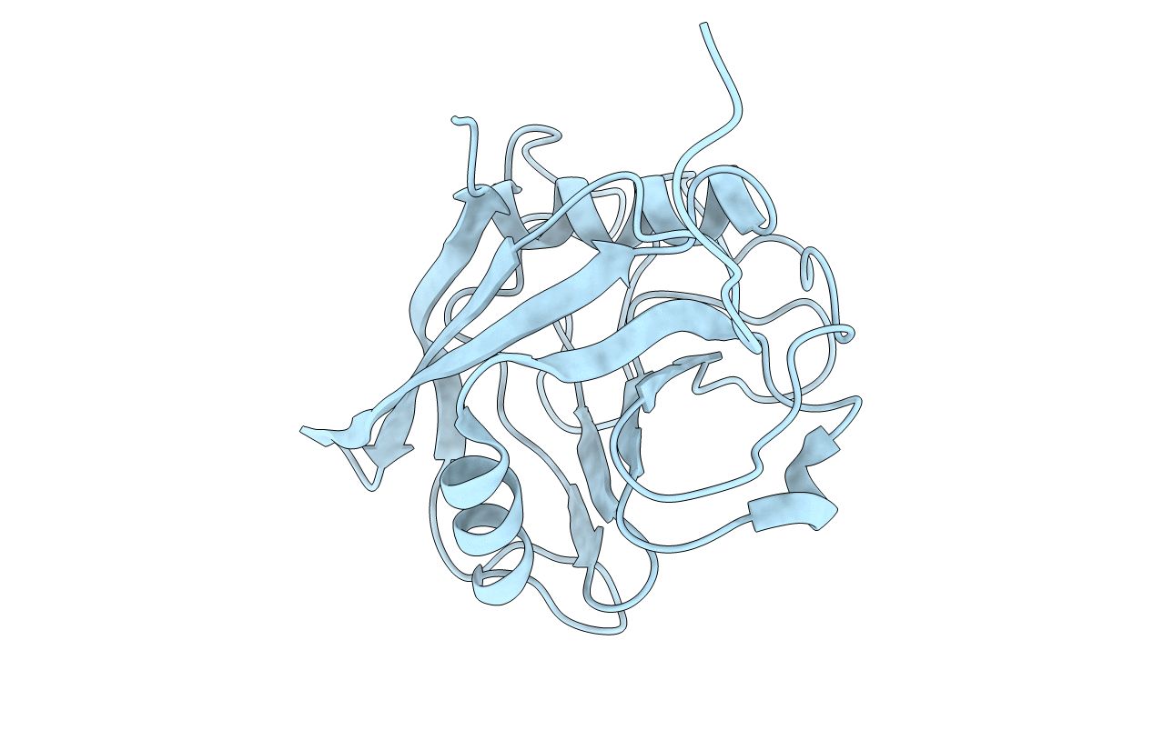 6LXR image