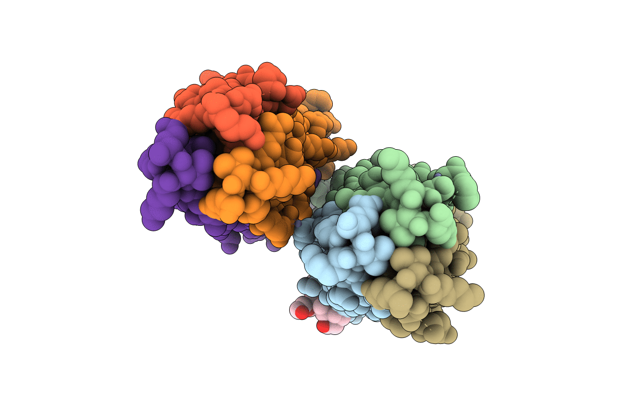 6LXT image
