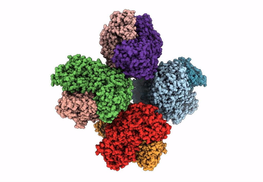 6LXV image