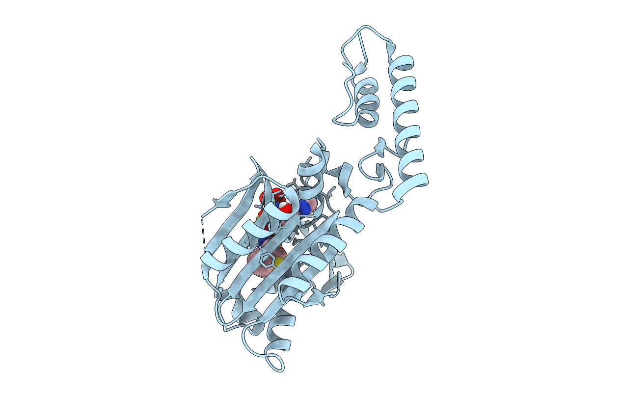 6LYB image