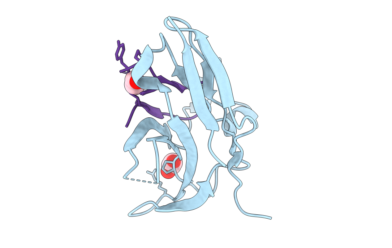 6LYC image