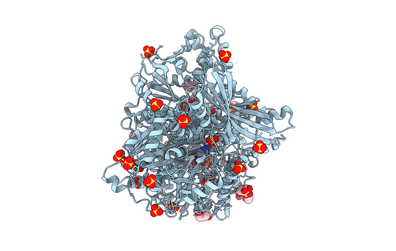 6LYL image