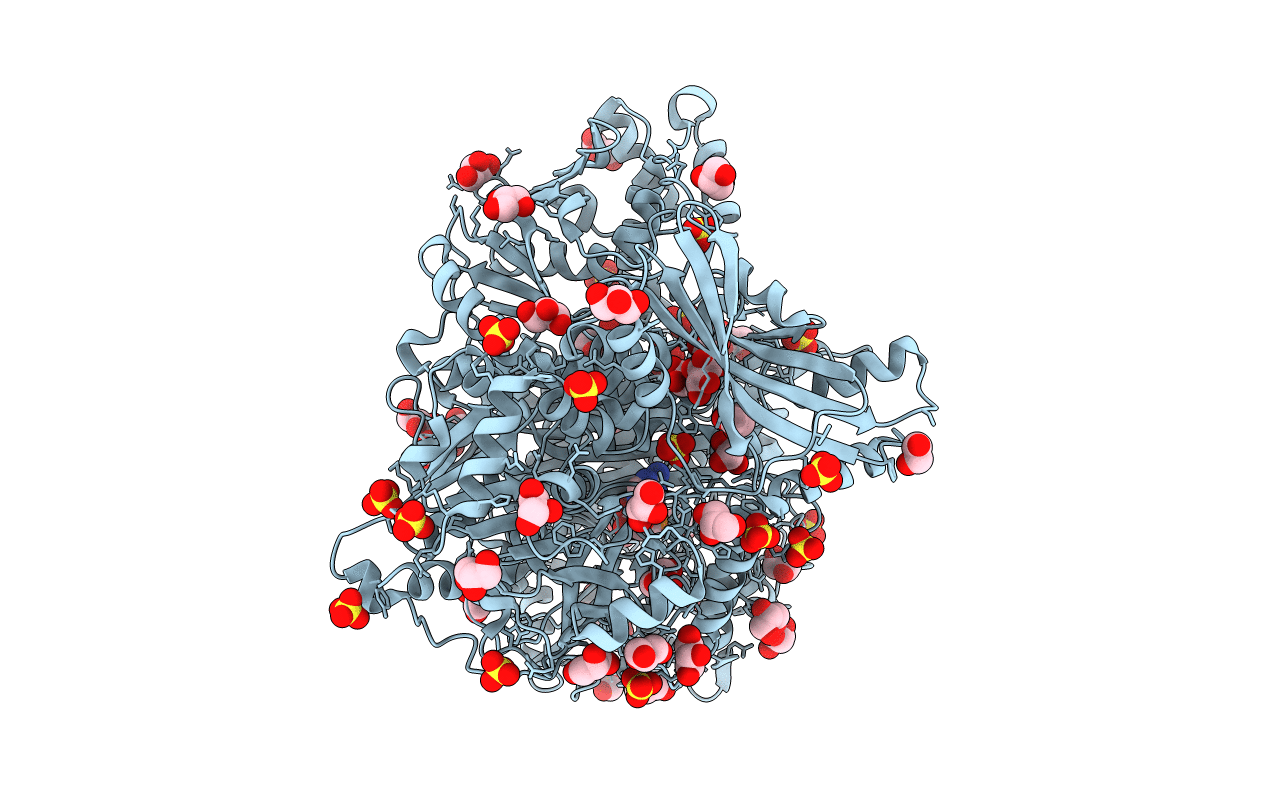 6LYO image