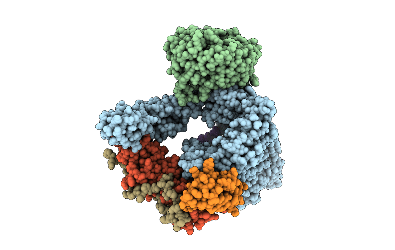 6LYQ image