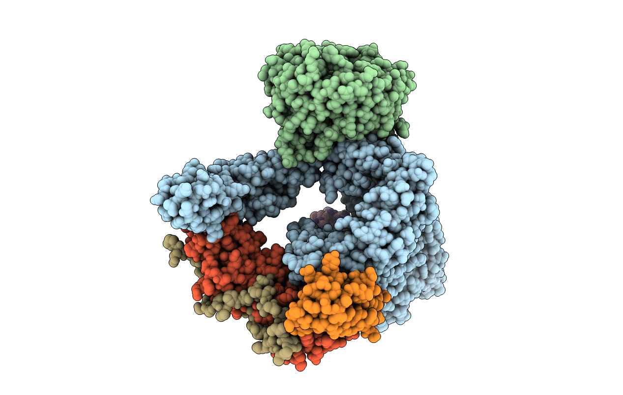 6LYR image