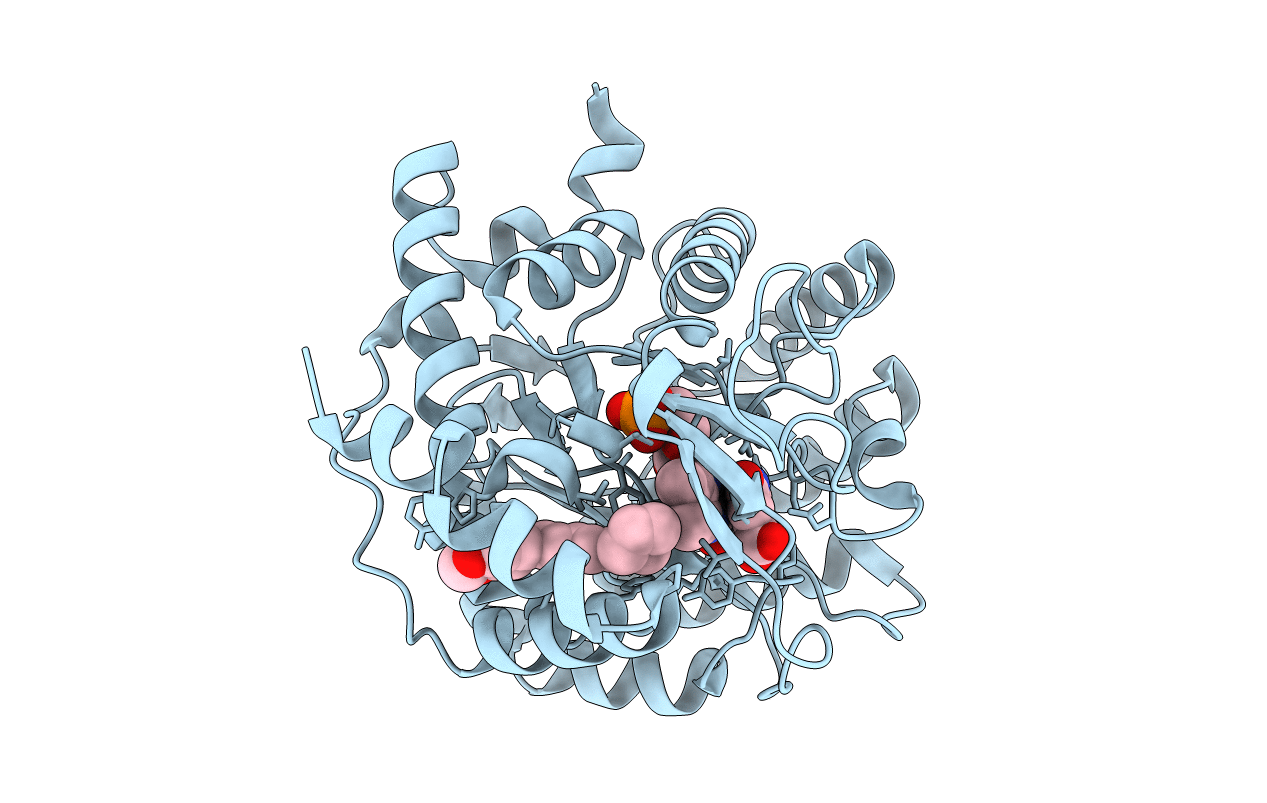6LZL image