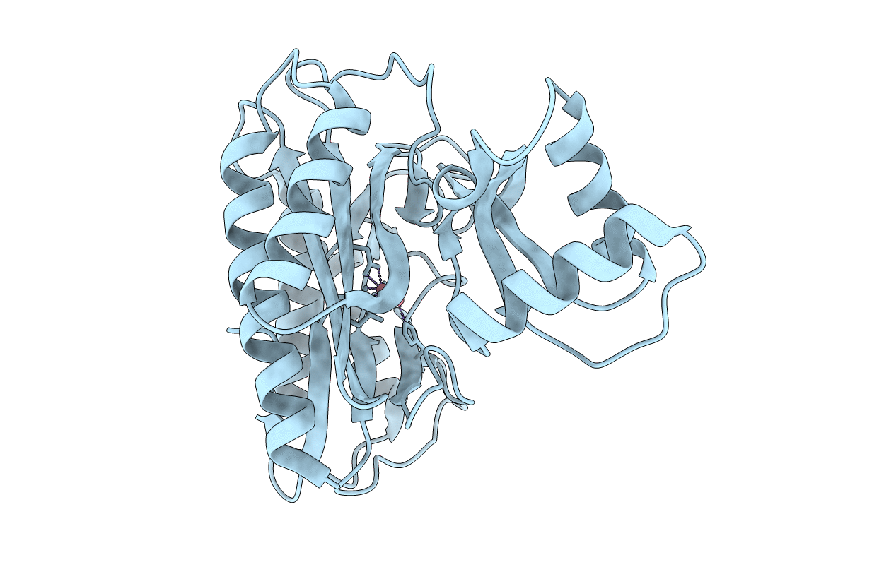 6M00 image