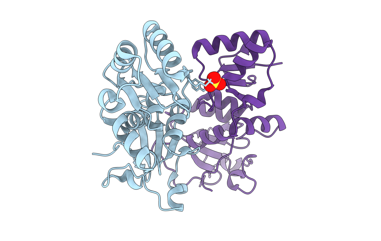 6M14 image