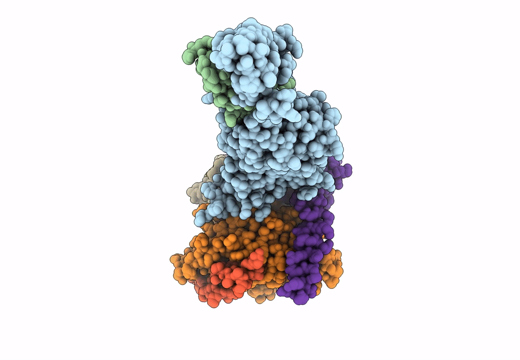 6M1H image