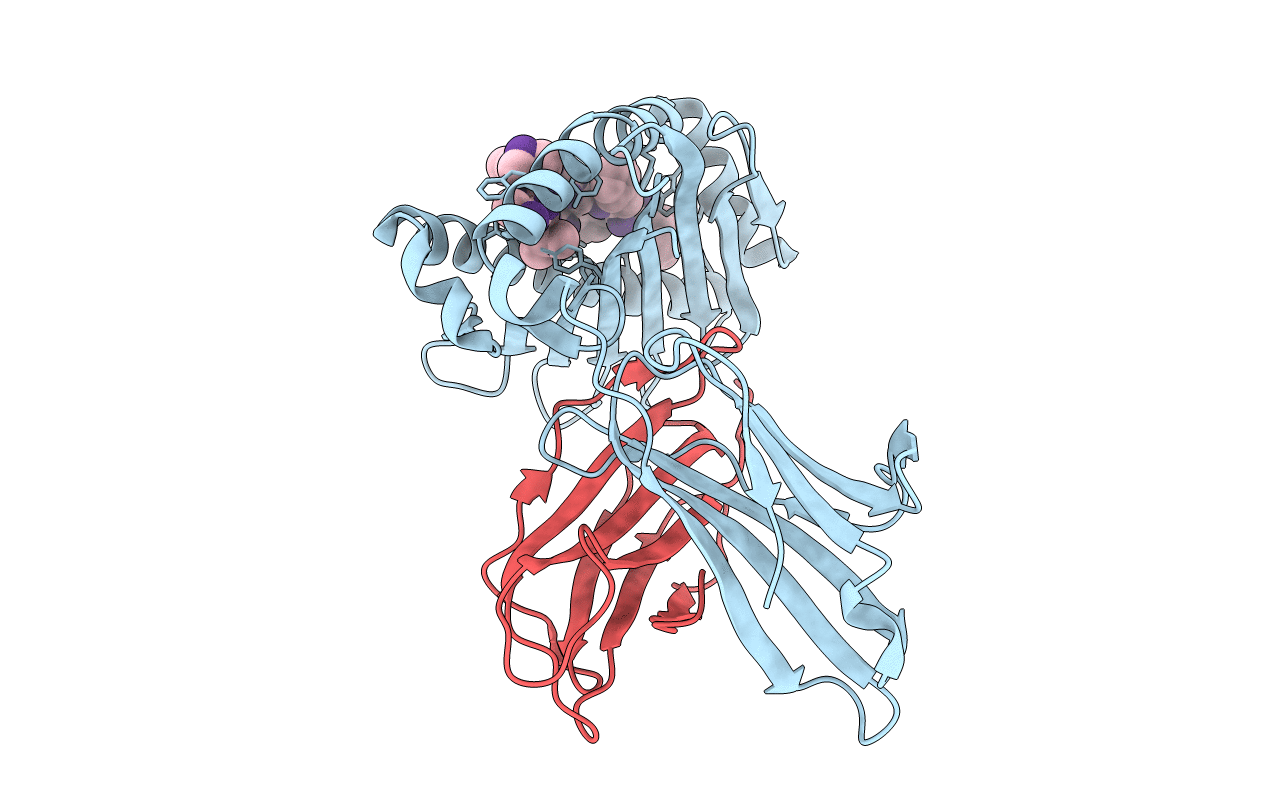 6M24 image