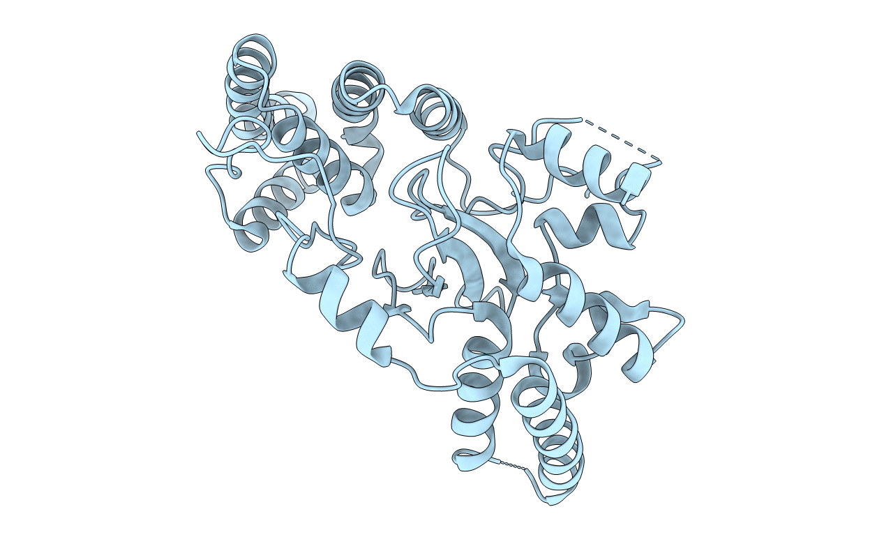6M3G image