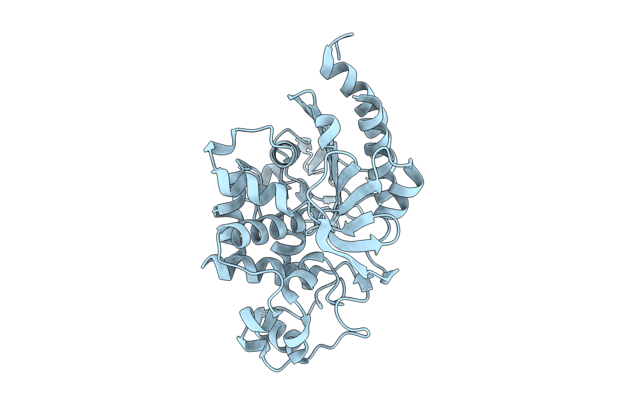 6M5H image