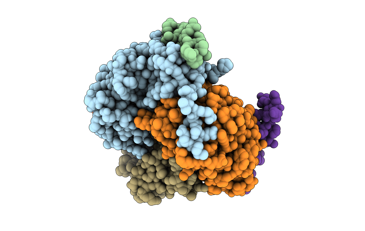 6M64 image