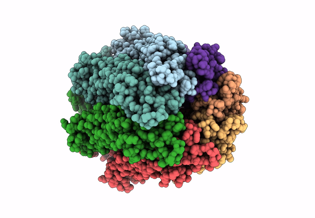 6M67 image