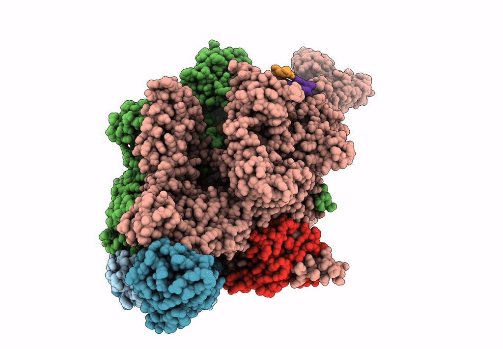 6M6C image