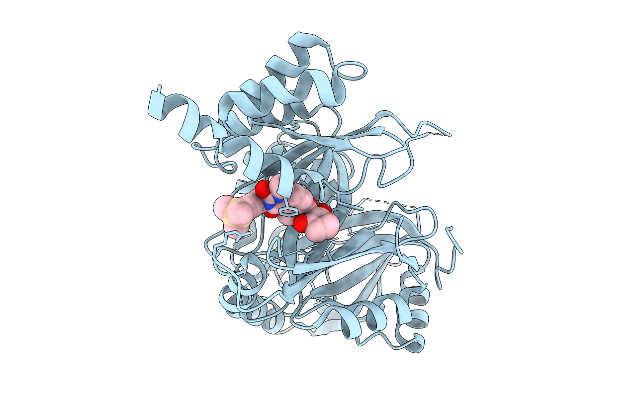 6M6D image