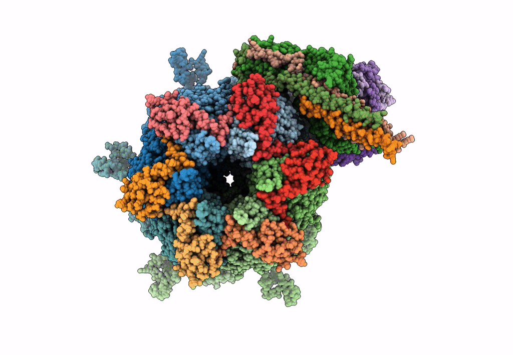 6M6H image