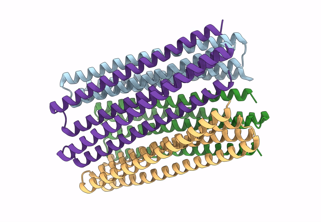6M6Z image