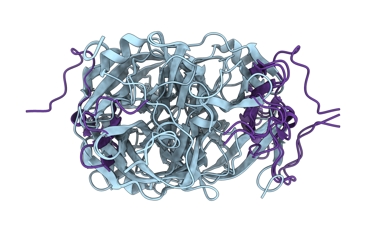 6M78 image