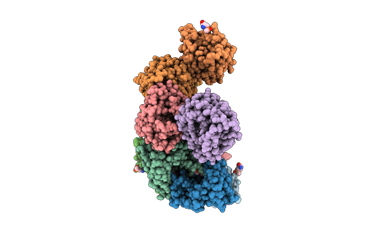 6M7G image