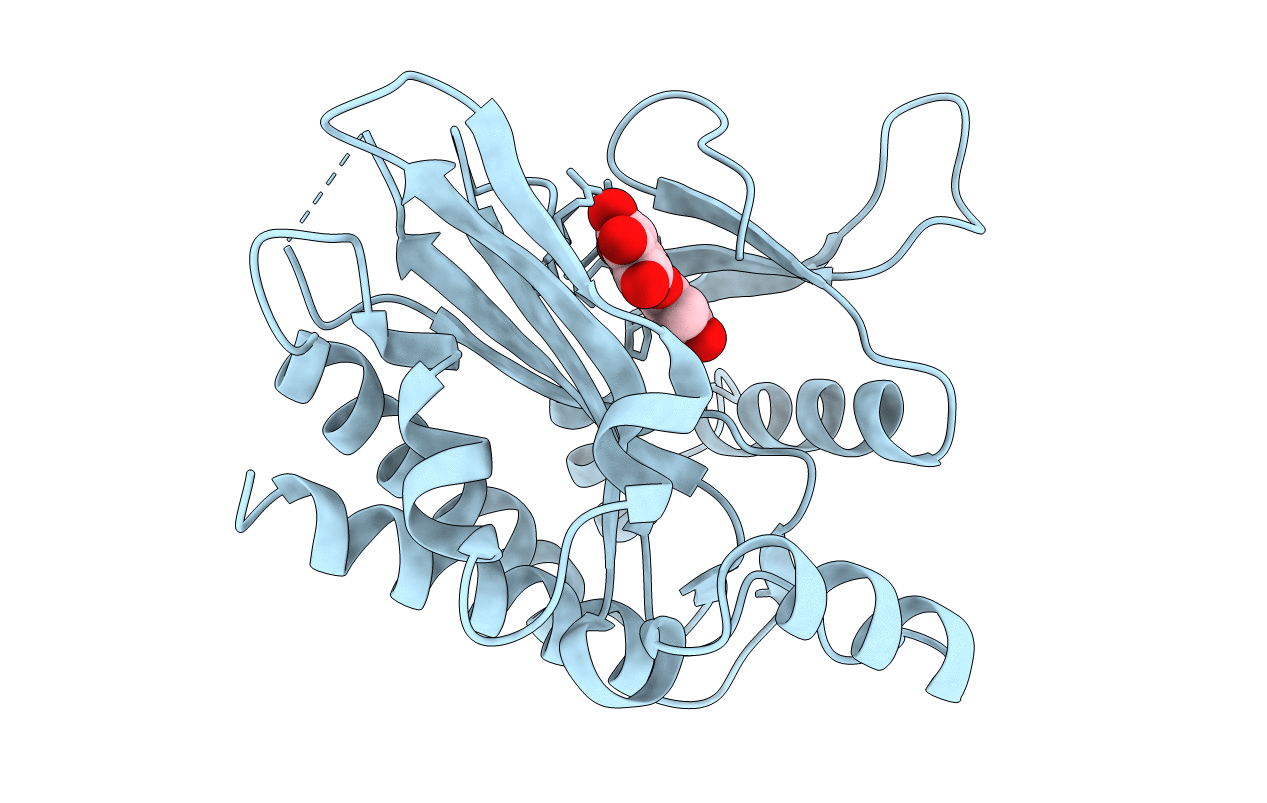 6M88 image