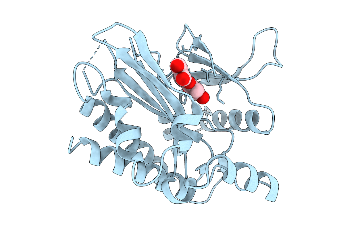 6M8A image