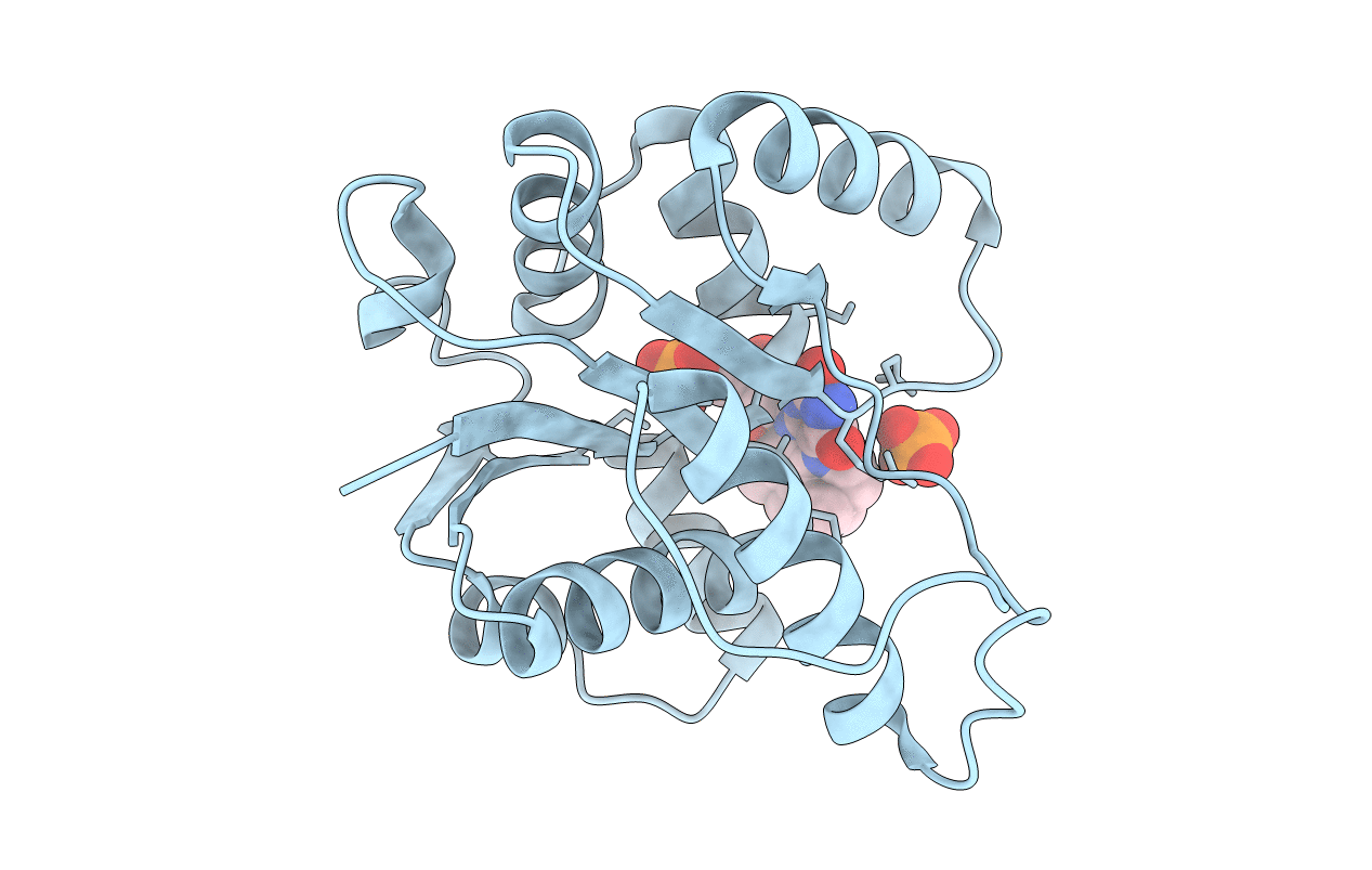 6M8U image