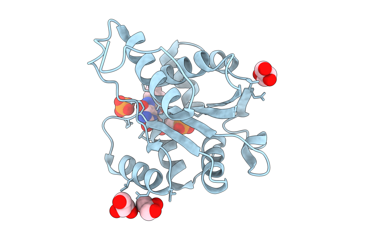 6M8V image