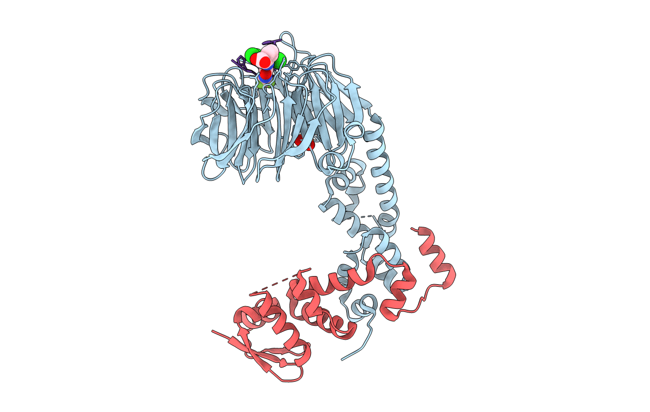 6M91 image