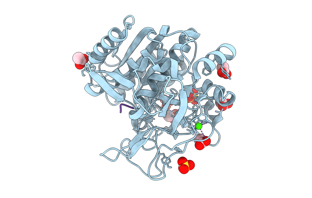 6M9C image