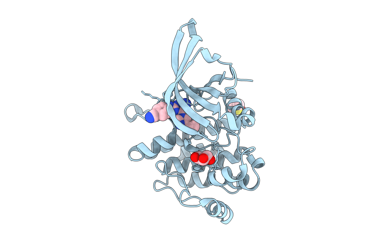 6M9H image