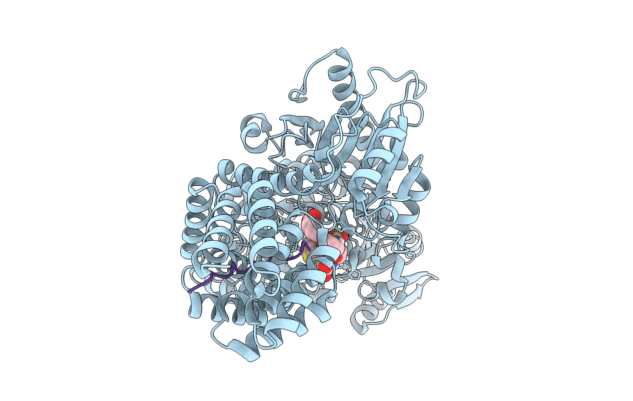 6MA4 image