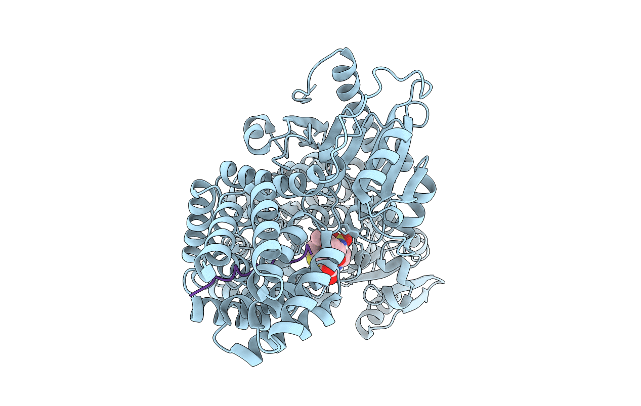 6MA5 image